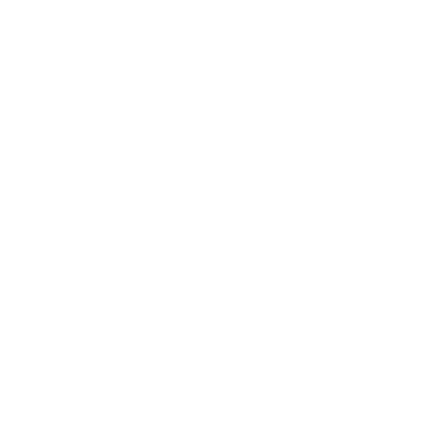 Double Elvis Studio
